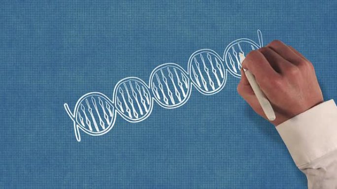 DNA螺旋蓝图定格风格动画