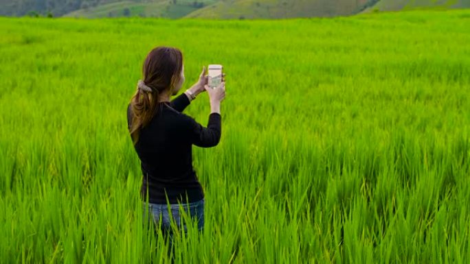 泰国北部稻田用智能手机自拍的美女