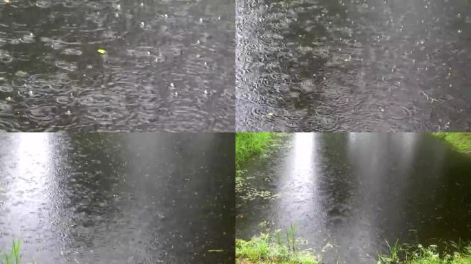 雨水落在池塘上