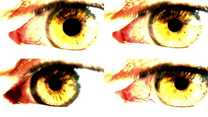 具有扩张瞳孔程式化效果的人眼球