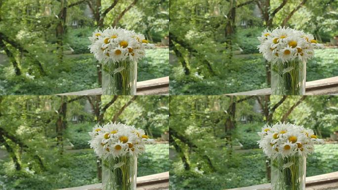 窗上玻璃花瓶里的一束迷彩。雏菊花的花瓣从夏风中移开。模糊背景上的整体计划，软焦点。光与影的游戏