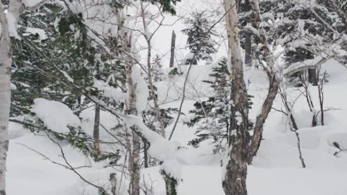 滑雪板跑滑雪森林山地雪地空气快速穿越树木