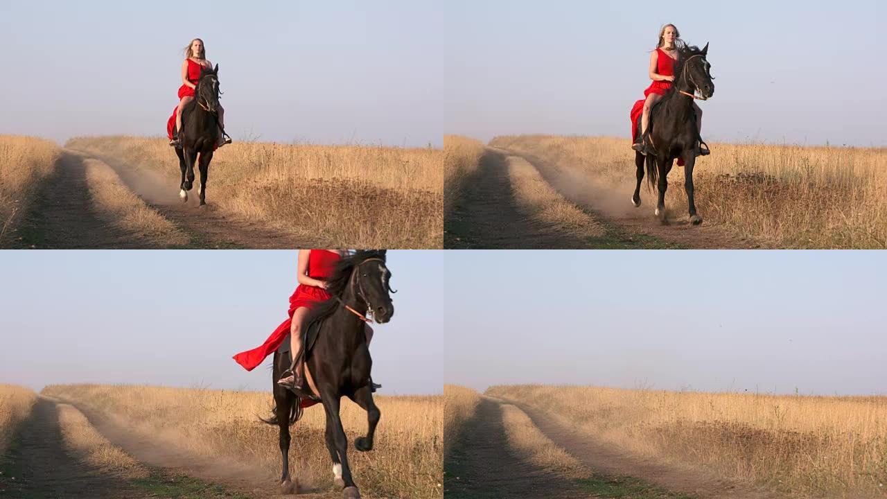穿着红色长裙的年轻女孩骑着黑马穿过干燥的草原