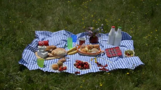 草地上野餐的特写