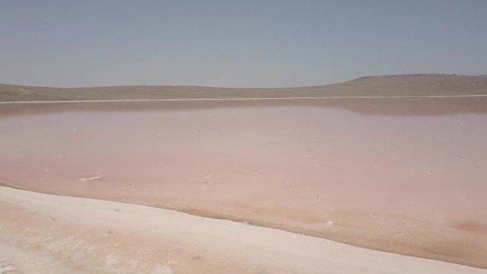 粉红色浮游生物颜色的盐湖水蒸发池的鸟瞰图