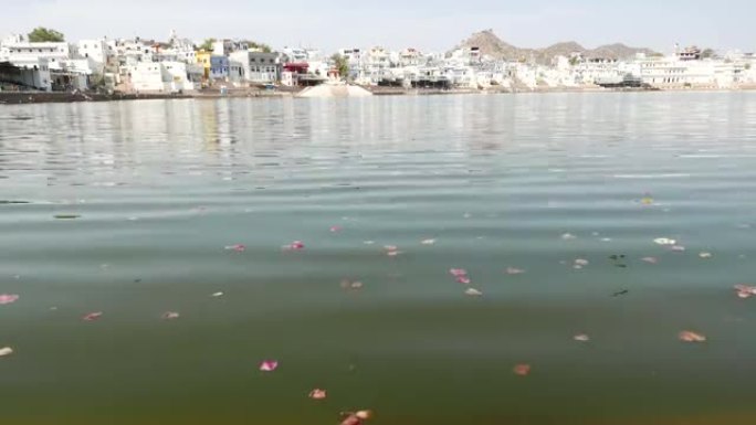印度拉贾斯坦邦普什卡圣水池上的漂花