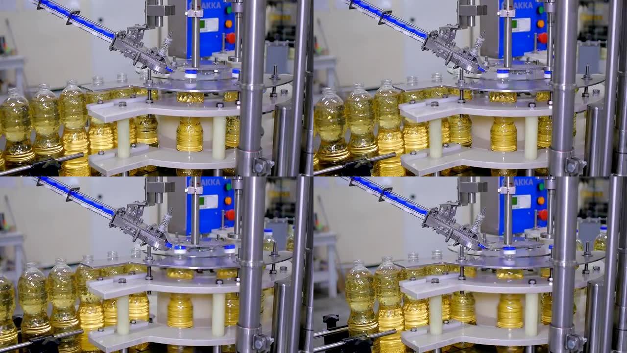 瓶中的葵花籽油在工厂盖上的生产线上移动
