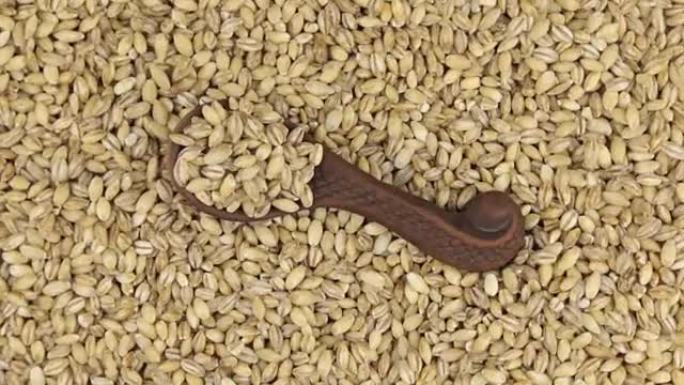 放在大麦种子背景上的粘土勺子中的大麦的旋转和缩放。