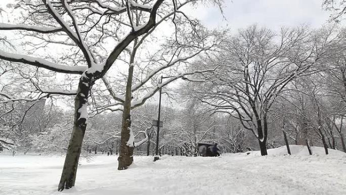 中央公园-三轮车在雪中通过