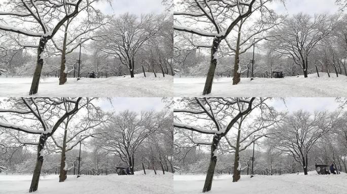 中央公园-三轮车在雪中通过