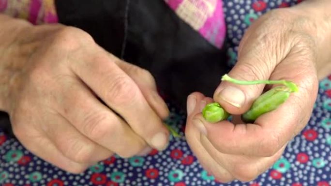 老手剥绿豌豆。慢动作