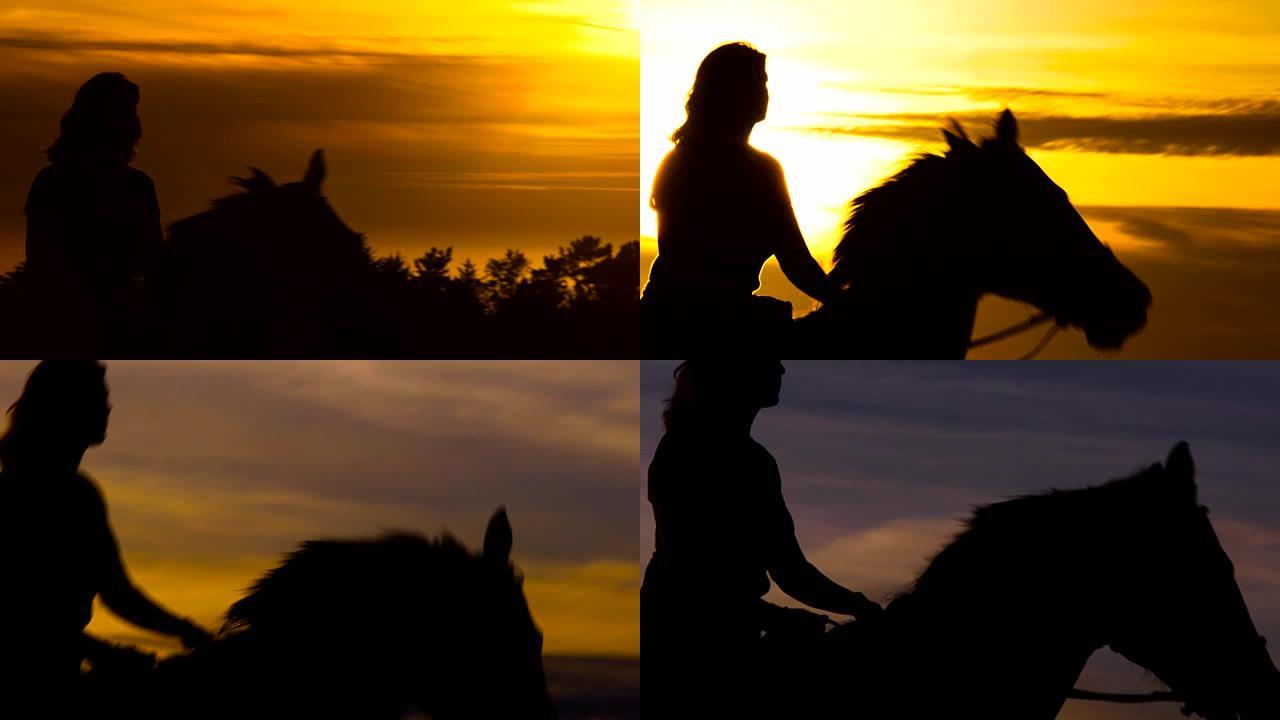 成年马术女子骑着纯种英国风格的马远离太平洋太阳长镜头慢动作15_1的金色光芒