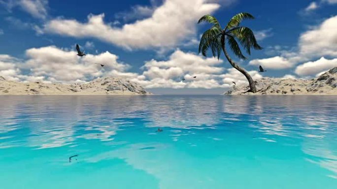 美丽的一天中的单椰子树，热带绿松石海
