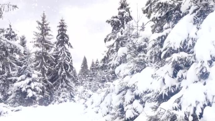 新年快乐，圣诞节，3d冬季背景2017