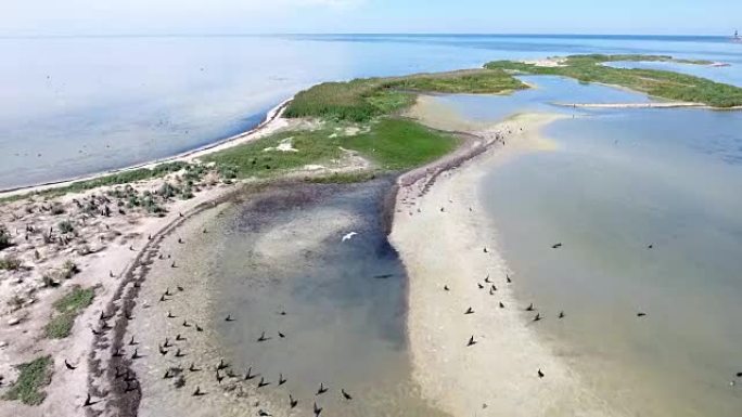 夏季Dzharylhach弯曲的沙质海岸与绿色湿地地区的航拍