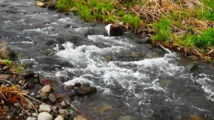 流经堰的溪流中的水。