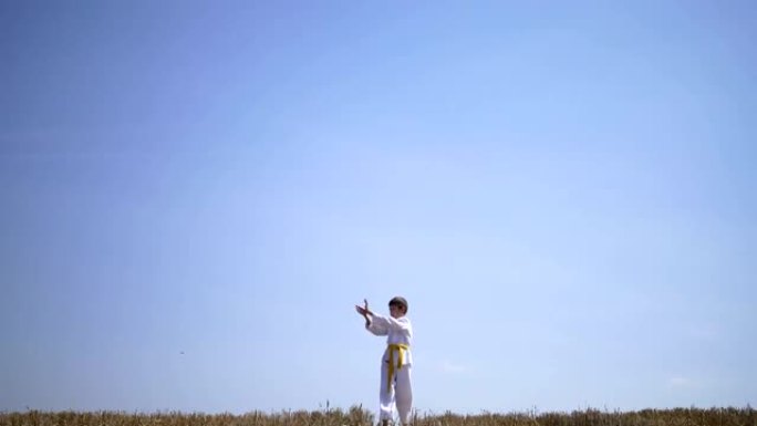 男孩空手道训练在野外逆天