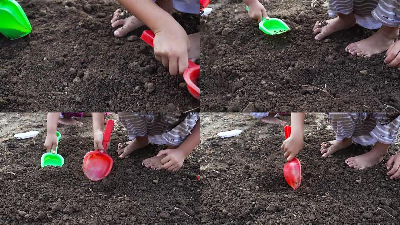 缩小亚洲女孩挖掘的手，准备在土地上种植树苗。生态学概念