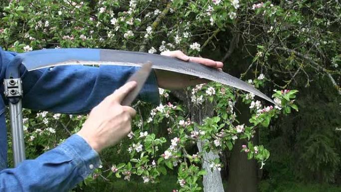 春季农场花园中磨刀的工具