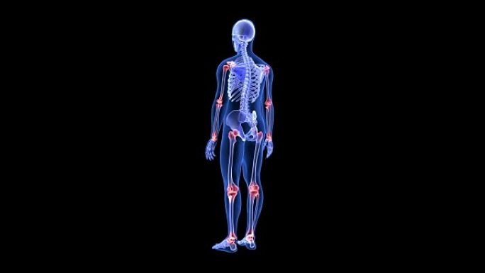 关节痛。蓝色人体解剖体3D扫描渲染-旋转无缝循环