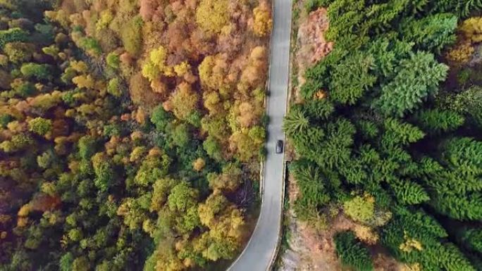 色彩缤纷的乡村秋天森林中道路的高架空中俯视图。秋天的橙色，绿色，黄色的红树树林。山脉街道路径建立。4