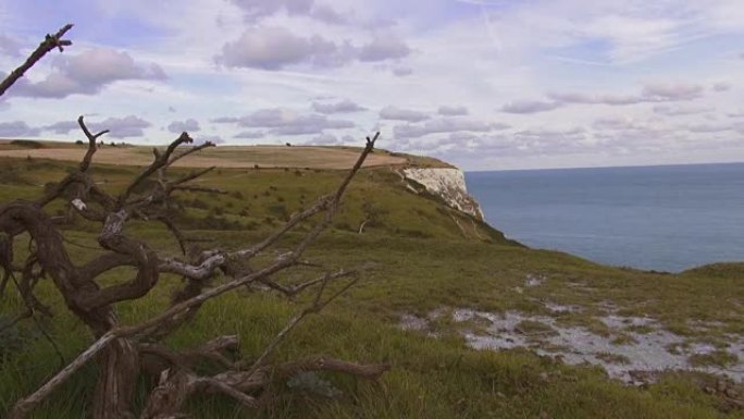 英国海岸多佛白崖的美丽大自然