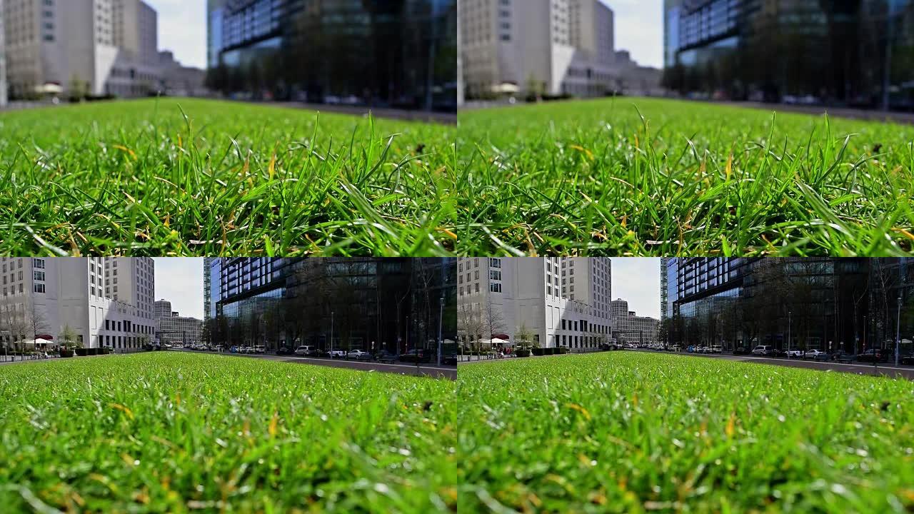 波茨坦广场的绿草