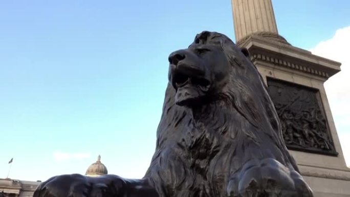 伦敦特拉法加广场著名的狮子