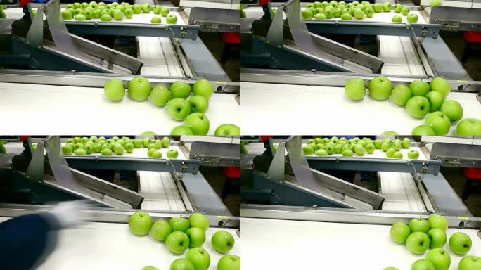 包装厂的苹果
