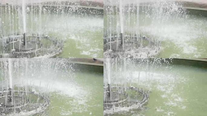 喷泉有许多喷流，溅在绿色水面上