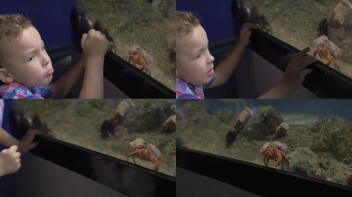 站在西班牙巴伦西亚螃蟹水族馆附近的金发小男孩的景色
