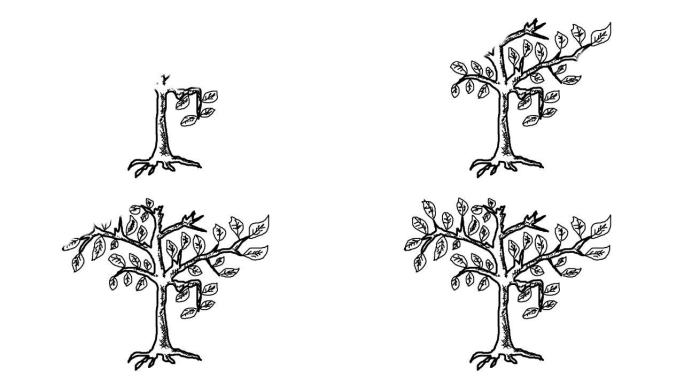 黑白的树轮廓草图出现在孤立的白色上