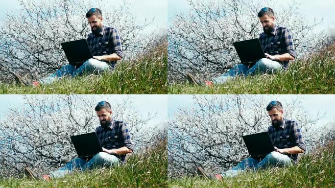 多莉开枪了。留着胡须的人在开花树附近的大自然中使用笔记本电脑