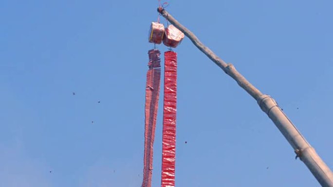 红色的中国爆竹挂在树枝上，庆祝节日。