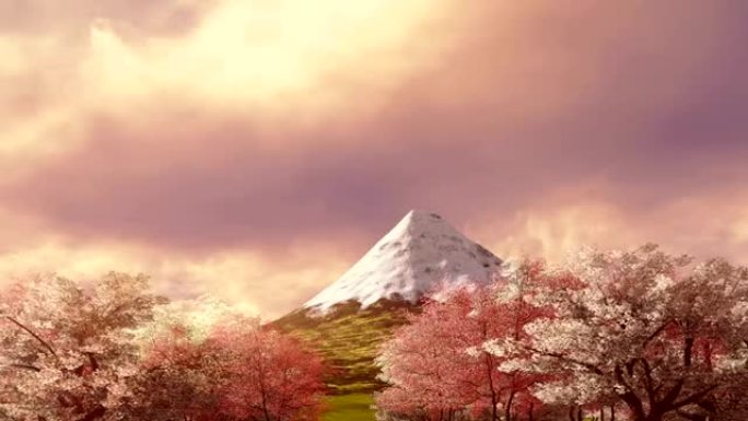 富士山和日出或日落时盛开的樱花