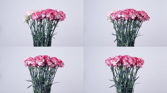 花朵，花束，旋转，花卉组成由淡粉色土耳其康乃馨组成