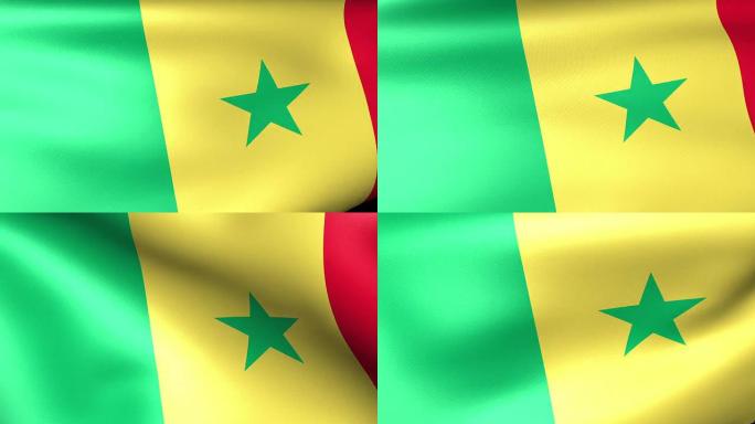 塞内加尔的旗帜