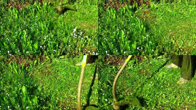 电动割草机在草坪上割草。4K。