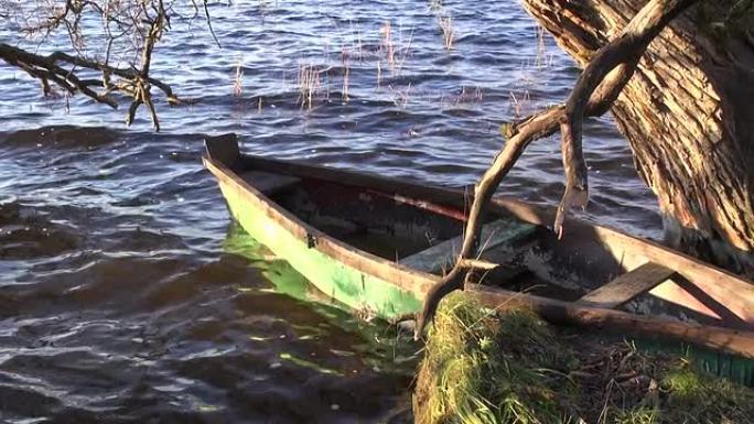 树附近湖水上的老船