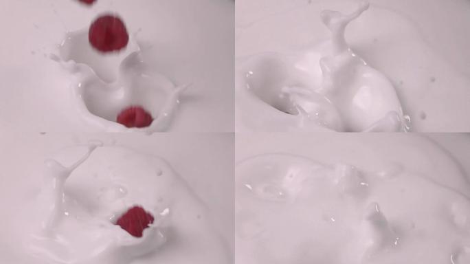 覆盆子以慢动作落入牛奶中。树莓以慢动作落入酸奶中。
