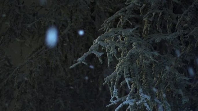 寂静的冬夜，雪慢慢落下