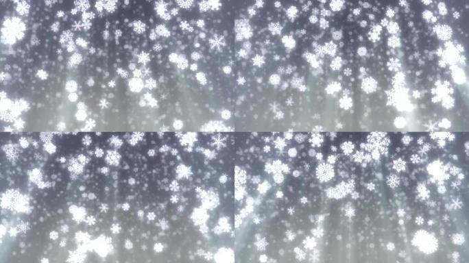 圣诞雪花落在灰色背景上，可循环。高清，NTSC