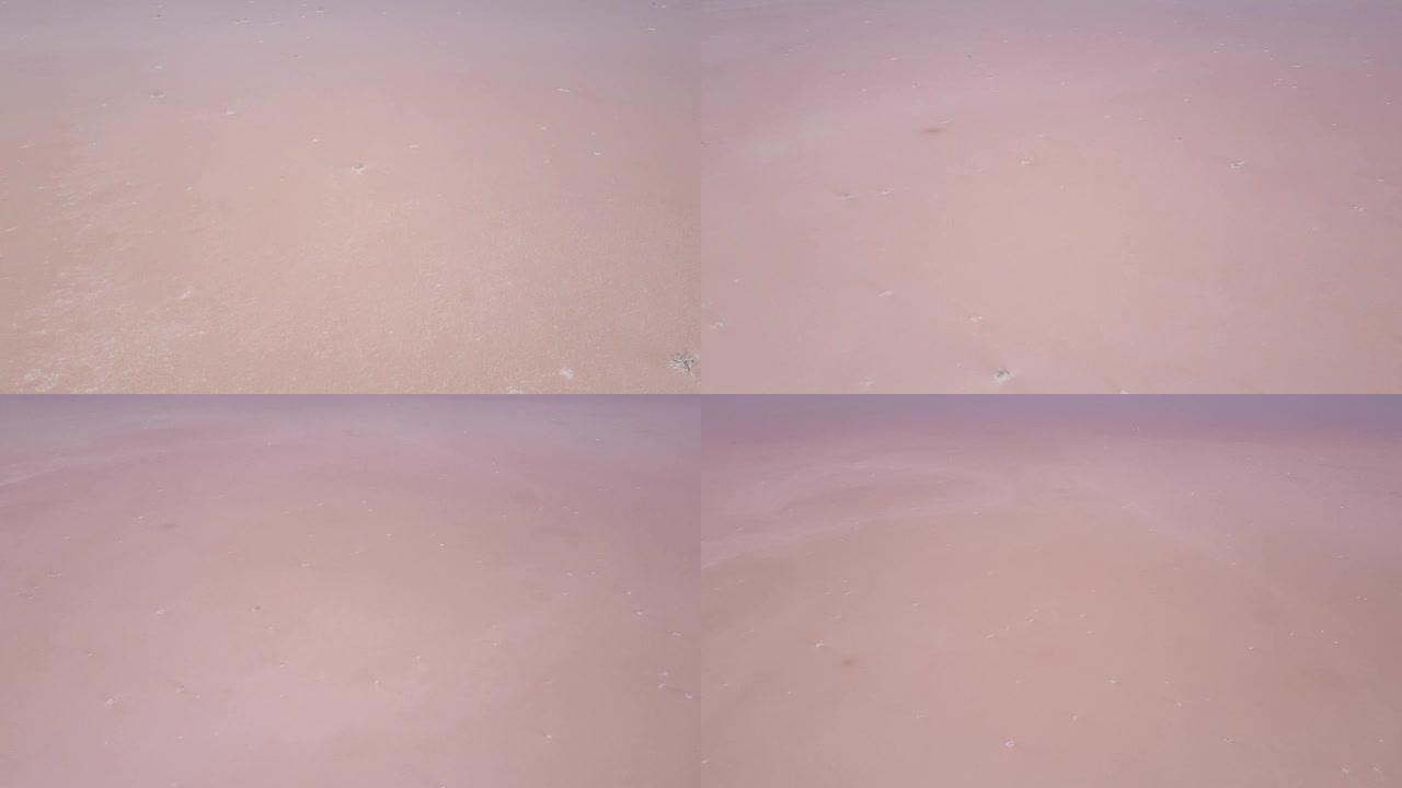 粉红色浮游生物颜色的盐湖水蒸发池的鸟瞰图