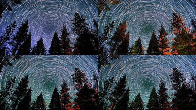北极星小径在森林和树木的夜空上盘旋