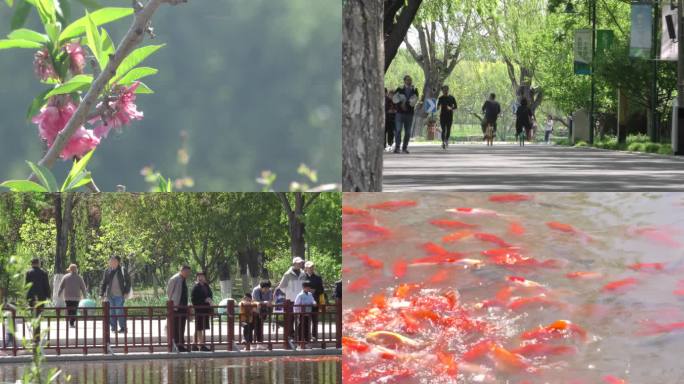 春游北京通州大运河森林公园骑行跑步游船