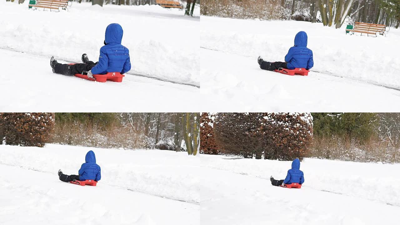 在冬季公园骑雪橇的孩子。慢慢地