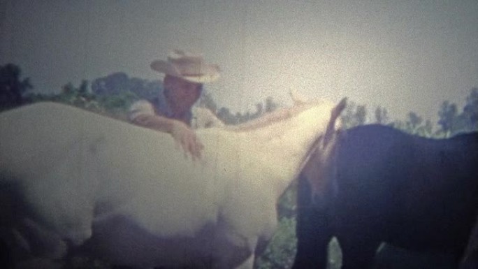 阿肯色州，美国-1965: 警察在谷仓里骑马。