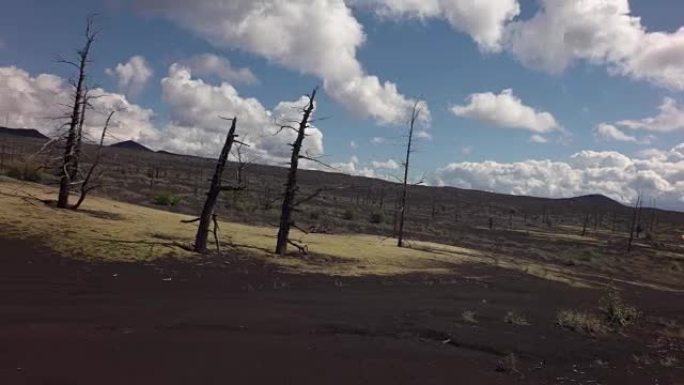枯木-火山爆发期间火山灰的灾难性释放的后果1975年Tolbachik north突破库存录像