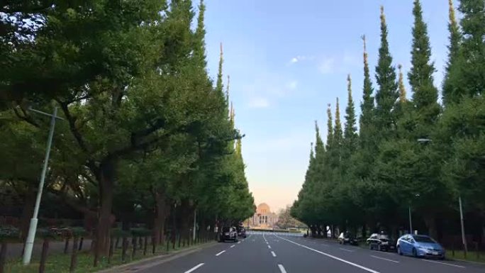 日本东京的街道