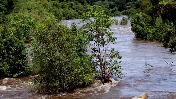 赤道几内亚的河流，丛林，非洲